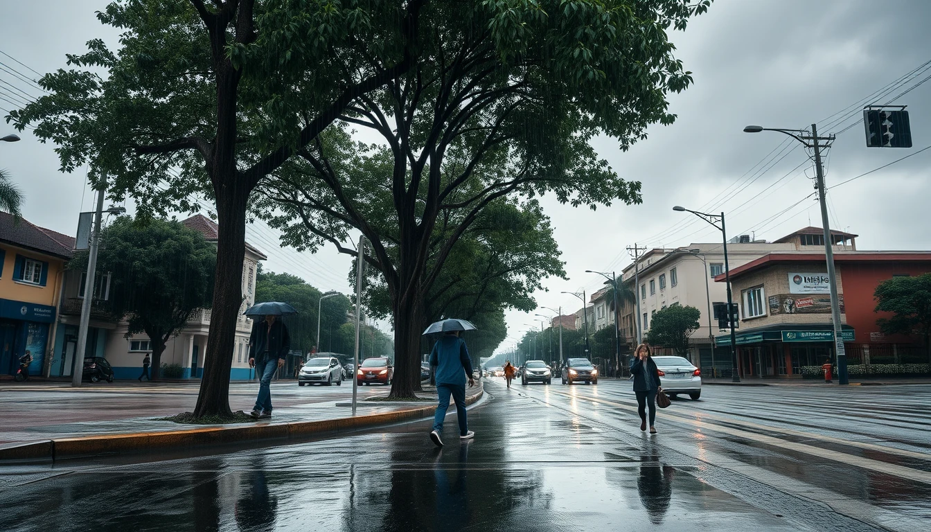 Sul do país tem alerta de perigo: chuva e ventos fortes
